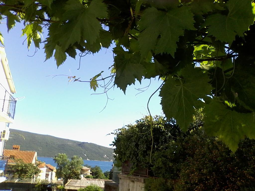 Nicholas Apartment Herceg Novi Eksteriør billede